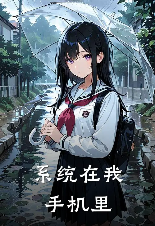 系统在我手机里