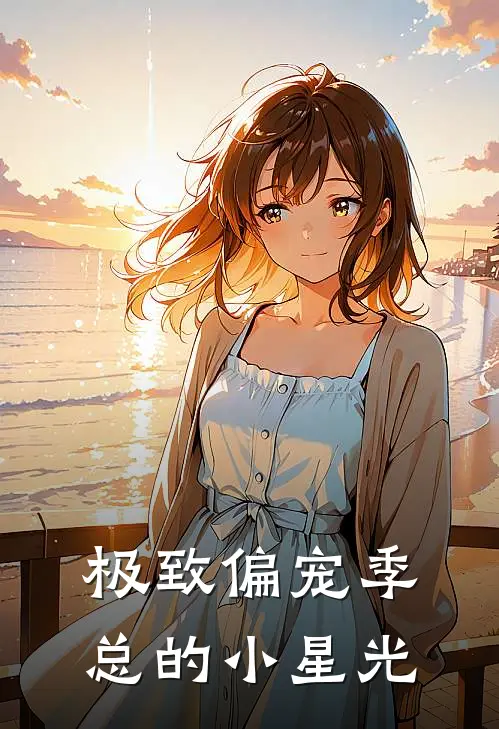 极致偏宠季总的小星光