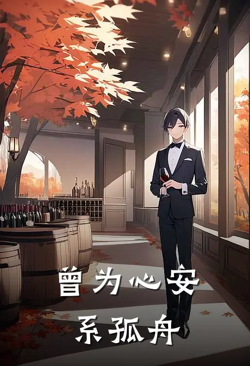 曾为心安系孤舟沈念安傅执霄小说完结推荐_热门小说阅读曾为心安系孤舟沈念安傅执霄